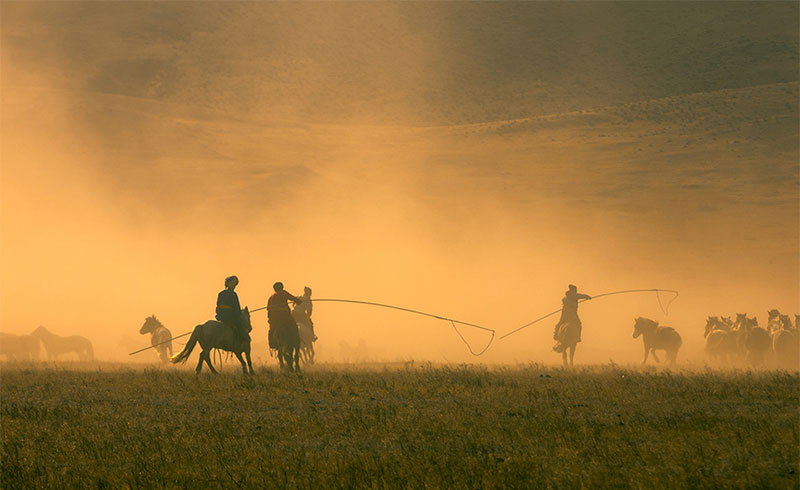 steppe horse festival mongolia 
